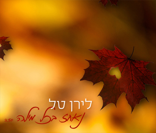 לירן טל נאחז בכל מילה.jpg