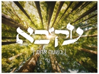 עקיבא בסינגל חדש - "בשעה אחת"