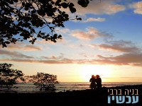 בניה ברבי בסינגל חדש - "עכשיו"