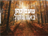 נועם כהן בקאבר מחודש - "באור גדול"