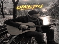 עמיעד עמר בגרסת היוצר - "נוקאאוט"