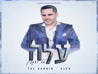 טל ועקנין בסינגל חדש - "עלה"
