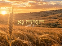 גד אלבז בפיוט מחודש - "הגלה נא"