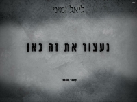 ליאל ימיני בקאבר מחודש - "נעצור את זה כאן"