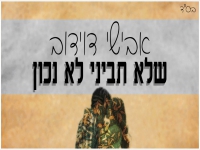 אבישי דוידוב בקאבר מחודש - "שלא תביני לא נכון"