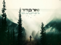 נאור בן דוד בקאבר מחודש - "אל תשליכני"