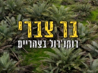 בר צברי בסינגל חדש - "רוקנ'רול בצהריים