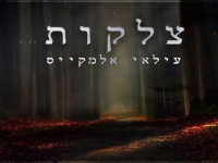 עילאי אלמקייס בקאבר מחודש - "צלקות"