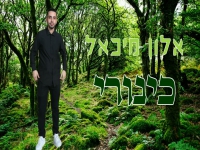 אלון מיכאל בקאבר מחודש - "כינורי"