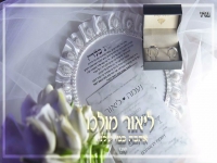 ליאור מולכו בקאבר מחודש - "אהבה כמו שלנו"