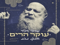 שולי רנד בסינגל חדש - "עוקר הרים"