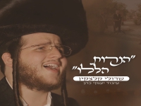 שרולי קלצקין לכבוד חנוכה - "הנרות הללו"