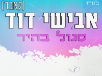 אבישי דוידוב בקאבר מחודש - "סגול בהיר"