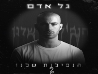 גל אדם בבלדה מרגשת - "הנפילות שלנו"