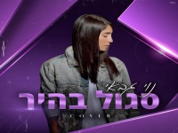 נוי גבאי בקאבר מחודש - "סגול בהיר"