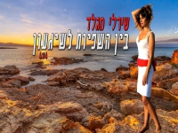 שירלי מגלד בסינגל חדש - "בין השפיות לשיגעון"