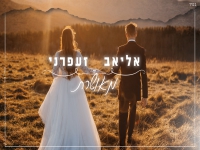 אליאב זעפרני בקאבר מחודש - "מאושרת"