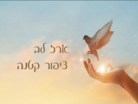 ארז לב בסינגל חדש - "ציפור קטנה"