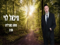 מיכאל לוי בסינגל חדש - "פוסע בשבילים"