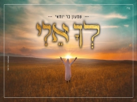שמעון בר יוחאי בפיוט מחודש - "לך אלי"