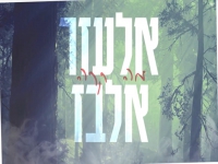 אלעזר אלבז בקאבר מחודש - "מה קרה"