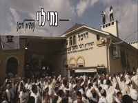 נתי לוי בקאבר מחודש - "אור בהירות הדרך"