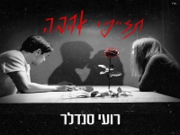 רועי סנדלר בבלדה מרגשת - "תזייפי אהבה"