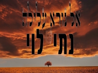 נתי לוי בבלדה מרגשת - "אל נורא עלילה"