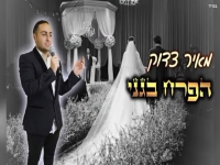 מאיר צדוק בקאבר מחודש - "הפרח בגני"