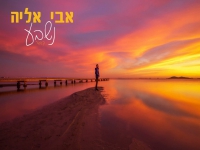 אבי אליה בקאבר מחודש - "נשבע"