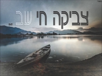 צביקה חי בקאבר מחודש - "שב"