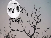 מיחי דהן בקאבר מחודש - "עטלף עיוור"