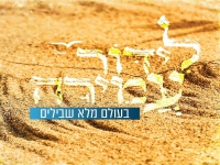 לידור עמירה בסינגל חדש - "בעולם מלא שבילים"
