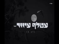נדב חן בקאבר מחודש - "עטלף עיוור"