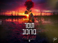 תומר בורוכוב בקאבר מחודש - "שושנים עצובות"