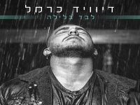 דיוויד כרמל בסינגל חדש - "לבד בלילה"