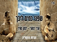 אודי דמארי ויצחק מאיר ווקאלי - "שפכי כמים ליבך"