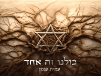 עמית עגנון בבלדה מרגשת - "כולנו זה אחד"