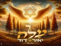 יאיר דוד בסינגל חדש - "עלה"