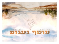 נאור דנין והללי ון לואן בבלדה מרגשת - "עוטף געגוע"