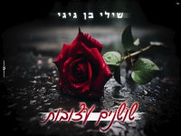 שילי בן גיגי בקאבר מחודש - "שושנים עצובות"