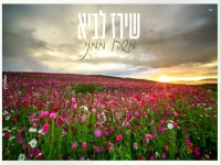 שירז לביא בקאבר מחודש - "משהו ממני"