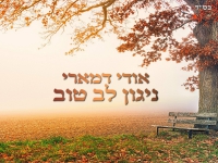 אודי דמארי בניגונים מרפאים - "ניגון לב טוב"