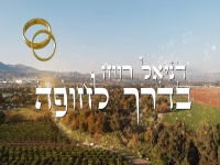 דניאל רווח בבלדת חופות מרגשת - "בדרך לחופה"