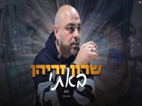 שרון זריהן בקאבר מחודש - "באתי"