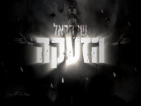 שי הראל בסינגל חדש - "הזעקה"