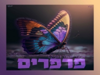 אלעד אנגלר בסינגל חדש - "פרפרים"
