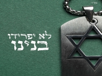 אלפא בסינגל חדש - "לא יפרידו בנינו"