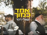 שולי רנד בסינגל חדש - "אחד כמוך"