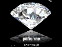 שחר סלומון בקאבר מחודש - "לקנות לך יהלום"